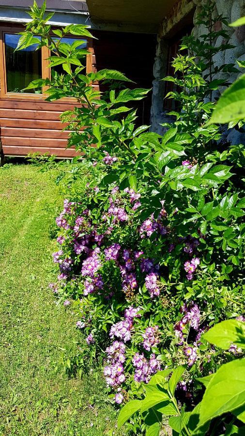 Antonowka Villa Trybsz Buitenkant foto