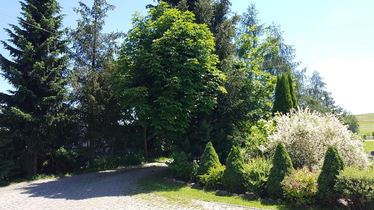 Antonowka Villa Trybsz Buitenkant foto