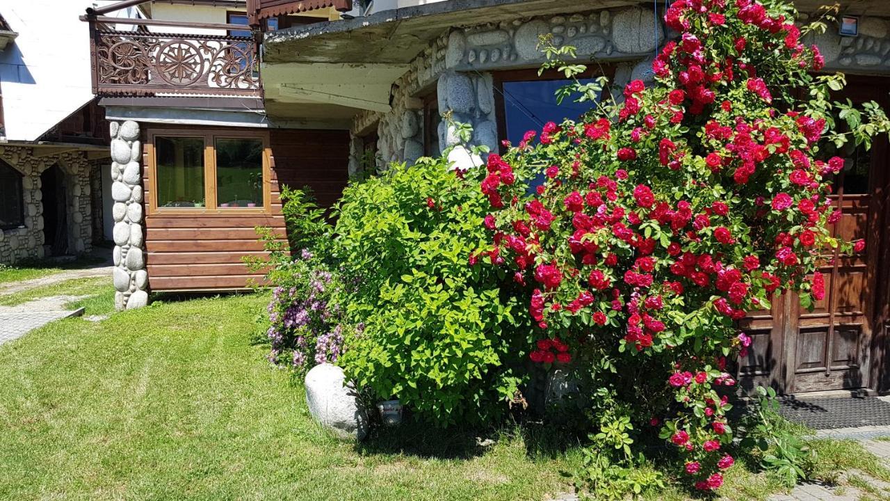 Antonowka Villa Trybsz Buitenkant foto