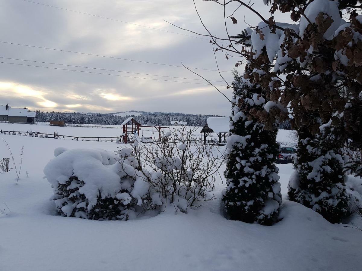 Antonowka Villa Trybsz Buitenkant foto