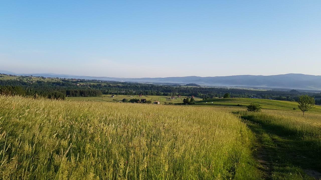 Antonowka Villa Trybsz Buitenkant foto