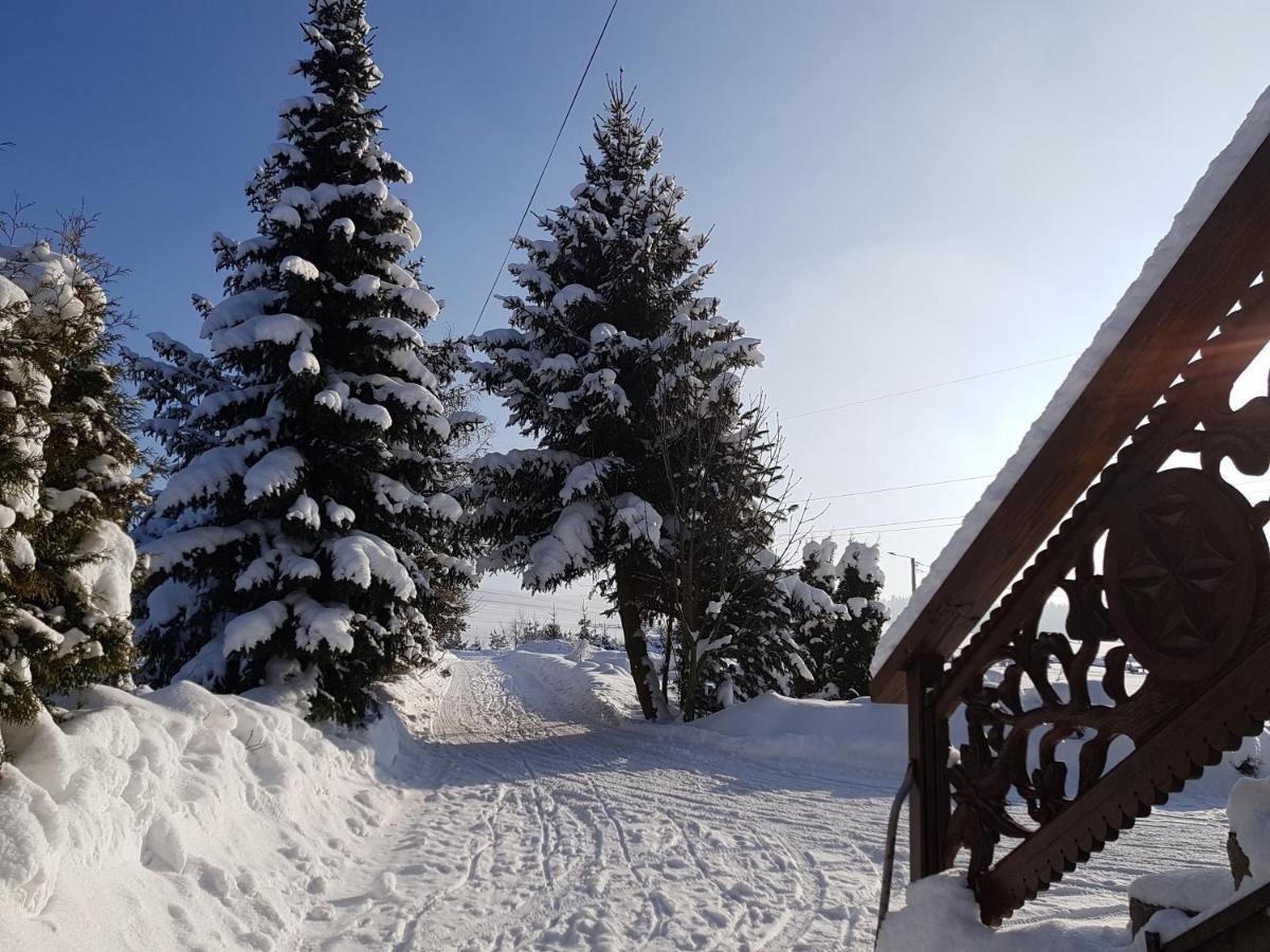 Antonowka Villa Trybsz Buitenkant foto