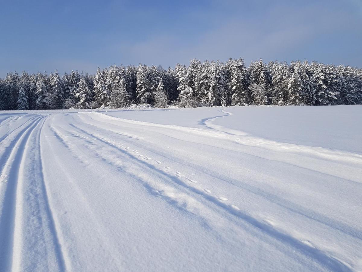 Antonowka Villa Trybsz Buitenkant foto