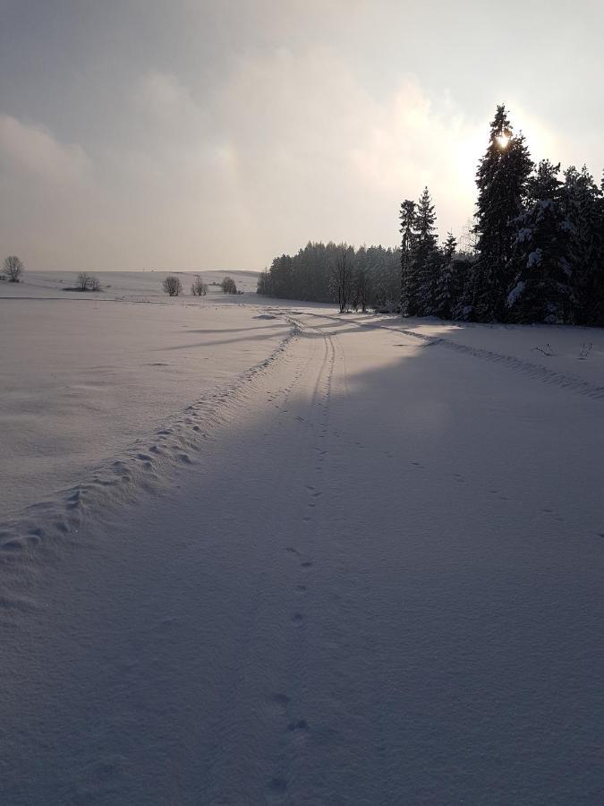 Antonowka Villa Trybsz Buitenkant foto